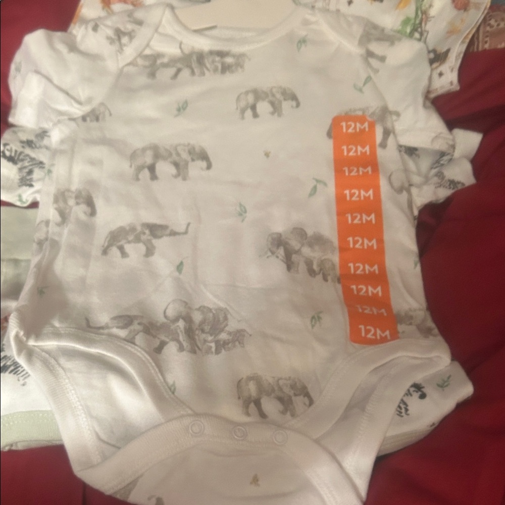 NWT Sz 12 mths animal print boys 4 pc set burts bees